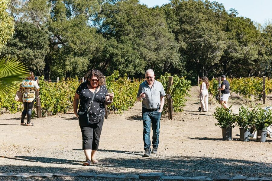 San Francisco: Half-Day Wine Country Excursion with Tastings - A closer look at the two winery visits