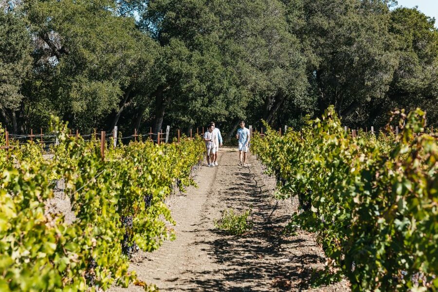 San Francisco: Half-Day Wine Country Excursion with Tastings - Who should book this excursion?