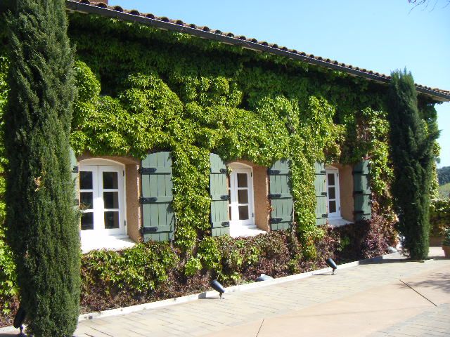 San Francisco: Half-Day Wine Country Tour with Wine Tastings - Key points before you book