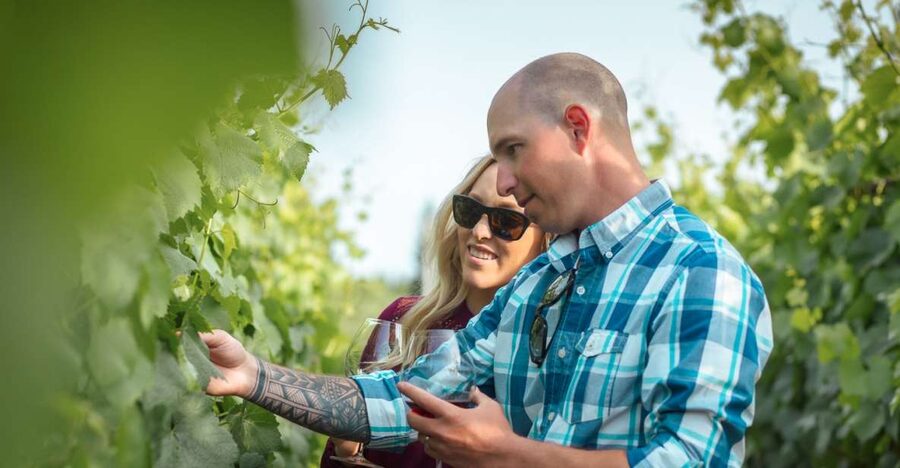 San Francisco: Sonoma Wine Country Tour with Tastings - Why this Sonoma tour works from San Francisco