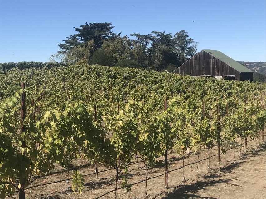 San Francisco: Sonoma Wine Country Tour with Tastings - The guides are a major part of the experience