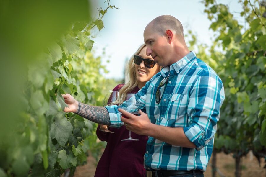 San Francisco: Sonoma Wine Country Tour with Tastings - Three Sonoma wineries, three different moods
