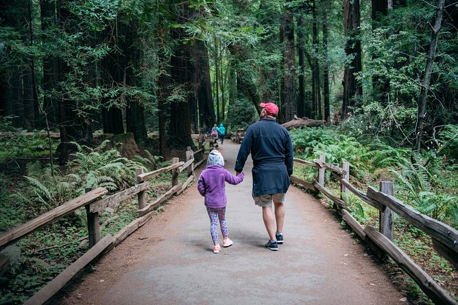 San Francisco Super Saver: Muir Woods & Wine Country w/ optional Gourmet Lunch - Ru Vango and the first taste of Napa