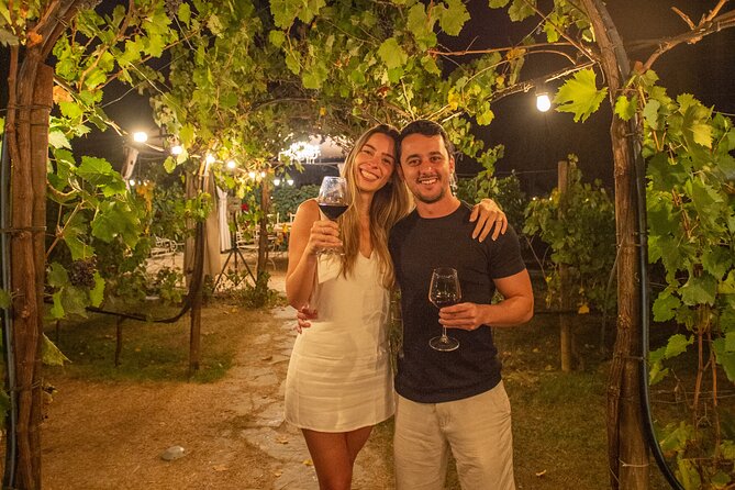 San Gimignano Romantic Dinner in the Vineyards - A vineyard dinner outside San Gimignano