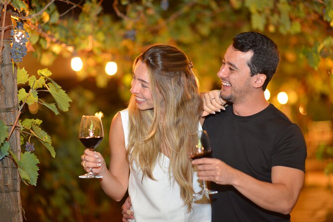 San Gimignano Romantic Dinner in the Vineyards - A serious Tuscan wine tasting