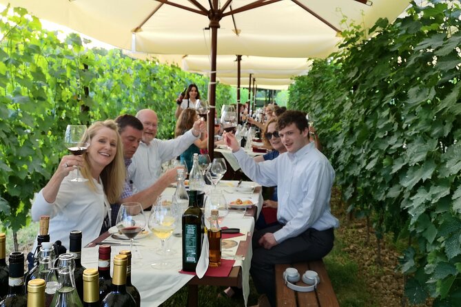 San Gimignano Romantic Dinner in the Vineyards - Dietary needs and practical details