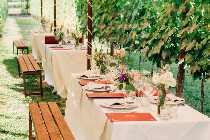 San Gimignano Romantic Dinner in the Vineyards - Who will enjoy Tenuta Torciano most?