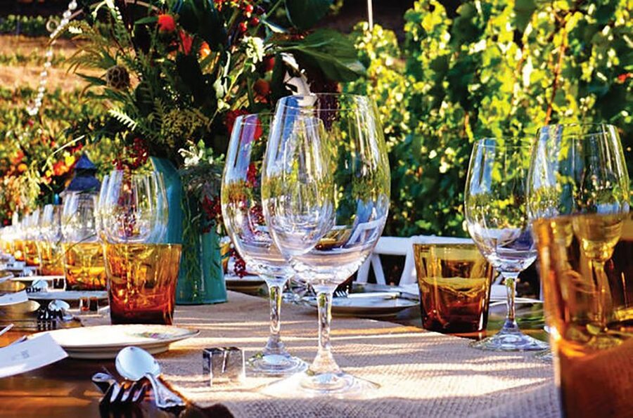 San Gimignano: Romantic Vineyard Dinner - A vineyard dinner near San Gimignano