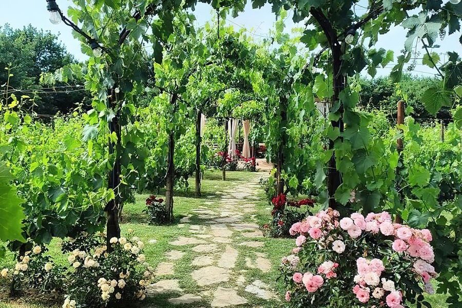 San Gimignano: Romantic Vineyard Dinner - Should you book the Tenuta Torciano vineyard dinner?