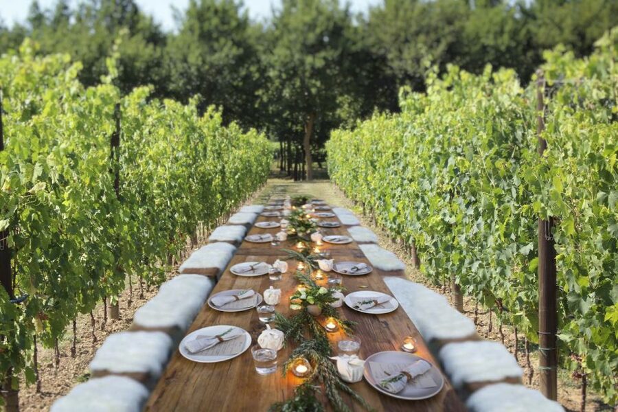 San Gimignano: Romantic Vineyard Dinner - Learning the tasting basics with your host