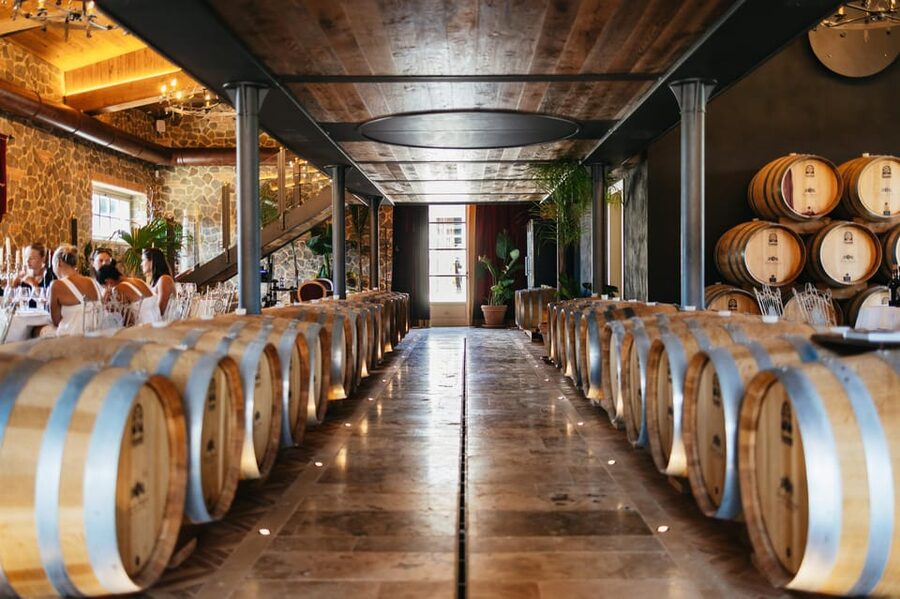 San Gimignano: Tuscan Vineyard Lunch with Wine Tasting - Should you book this San Gimignano winery lunch?