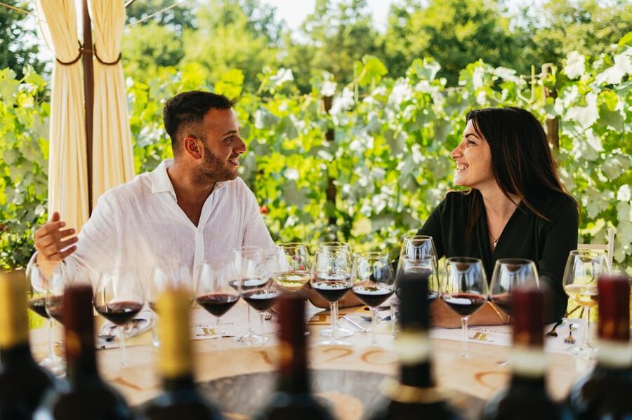 San Gimignano: Tuscan Vineyard Lunch with Wine Tasting - A Tuscan lunch with the vineyard as your backdrop
