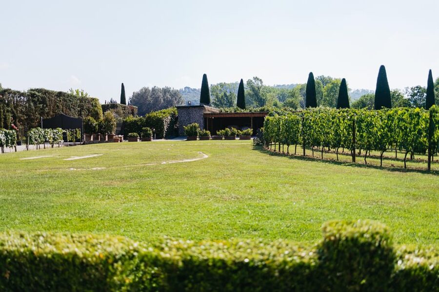 San Gimignano: Tuscan Vineyard Lunch with Wine Tasting - Settling in for traditional Tuscan food