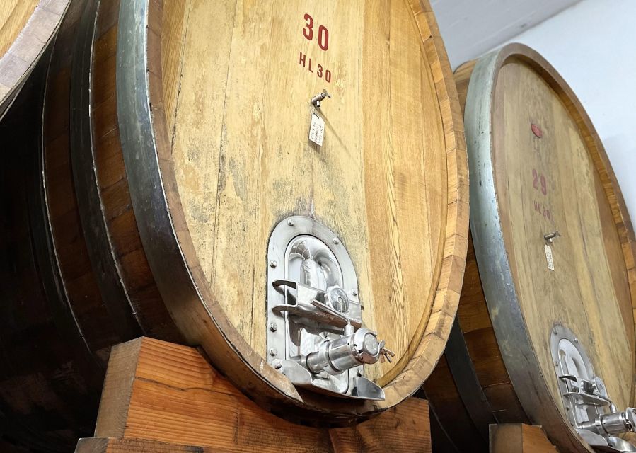 San Gimignano: Vineyard and Cellar Tour with Wine Tasting - Who should book this winery visit?