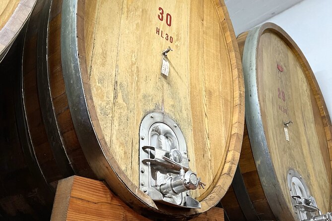 San Gimignano: Vineyard and Cellar Tour with Wine Tasting - Vernaccia and Chianti, two different Tuscan identities