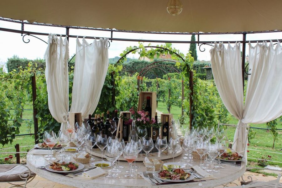 San Gimignano: Vineyard Walk with Wine Tasting in winery - Who will enjoy this most?