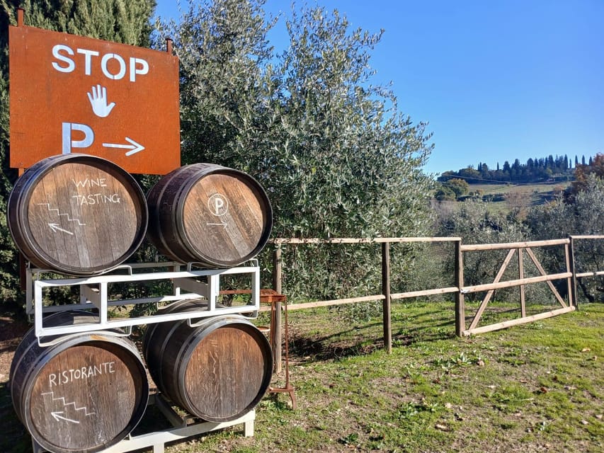 San Gimignano: Winery Visit with Picnic in Olive Grove - What comes in the picnic basket