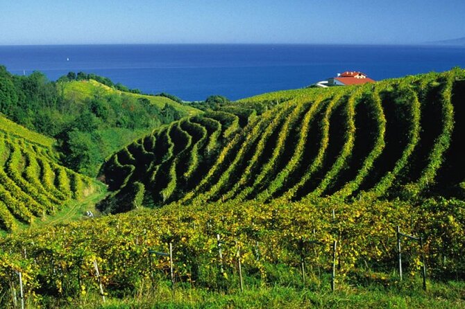 San Juan de Gaztelugatxe with Winery Visit and Lunch (From Bilbao) - San Juan de Gaztelugatxe and its 241 steps