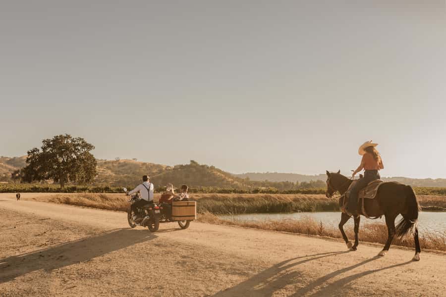 San Luis Obispo: Vineyard Rides Wine Adventure - Key points to know before booking