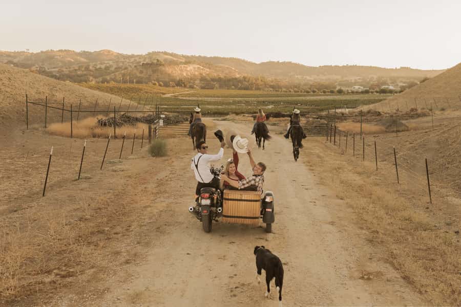San Luis Obispo: Vineyard Rides Wine Adventure - Forty-five minutes among the vines