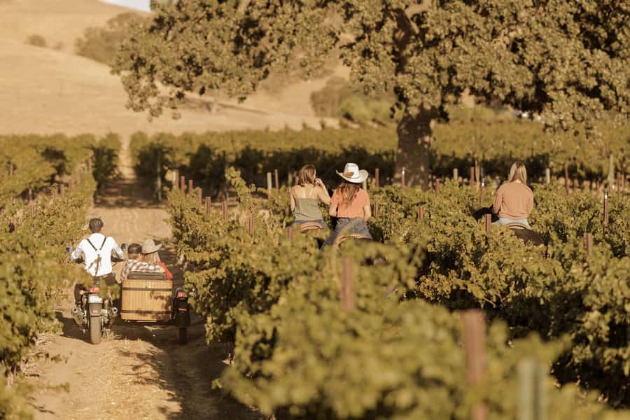 San Luis Obispo: Vineyard Rides Wine Adventure - Weather, comfort, and practical limits