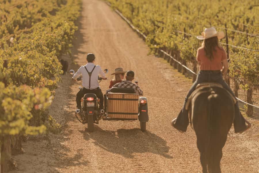 San Luis Obispo: Vineyard Rides Wine Adventure - Meeting at Wolff Vineyards and getting ready