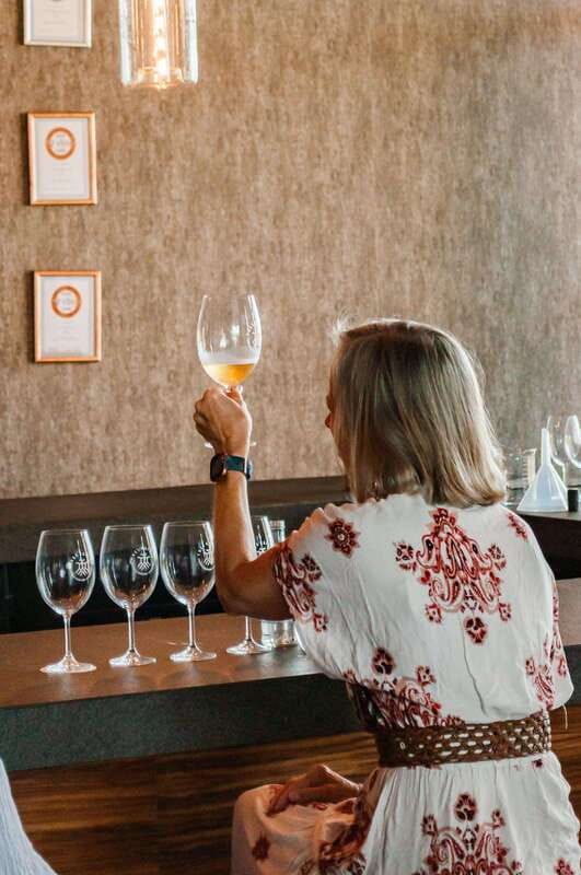San Miguel de Allende: Local Vineyard Tour & Wine Tasting - Key points to know before you book