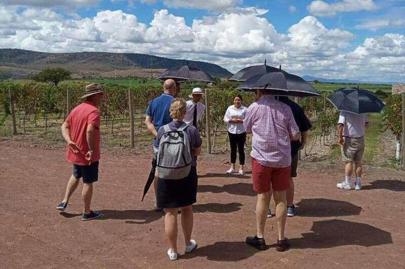 San Miguel de Allende: Local Vineyard Tour & Wine Tasting - From Fábrica La Aurora to Valle de la Independencia