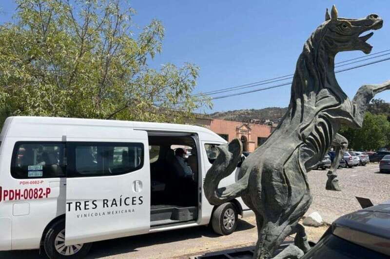 San Miguel de Allende: Local Vineyard Tour & Wine Tasting - Five ways to build your tasting