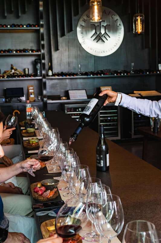 San Miguel de Allende: Local Vineyard Tour & Wine Tasting - Is the $121 price fair?