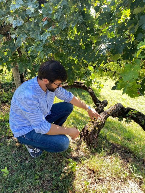 San Pietro di Feletto: Vineyard Tour with Cellar Visit - Who will enjoy this tour most?