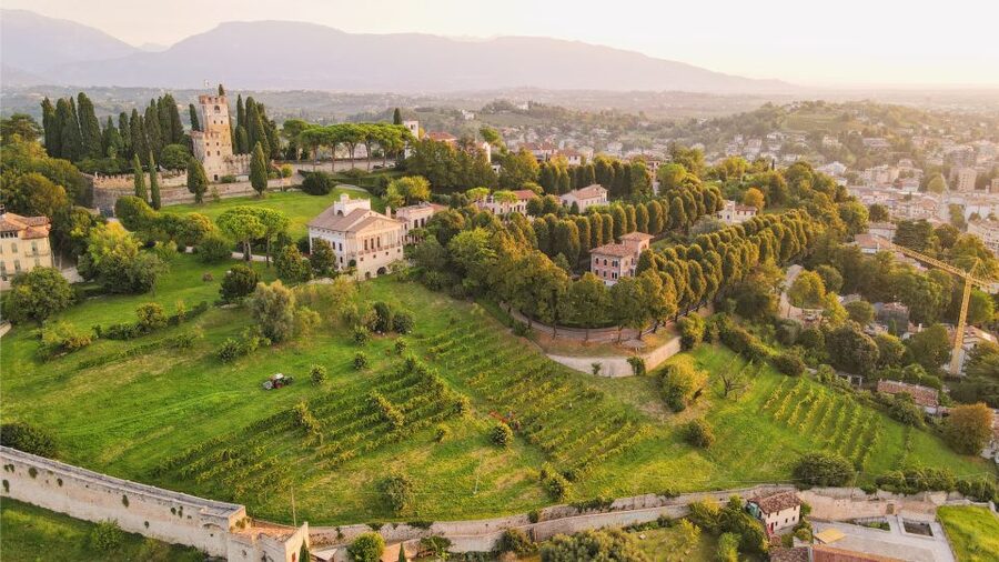 San Pietro di Feletto: Vineyard Tour with Cellar Visit - Timing, language, and booking details