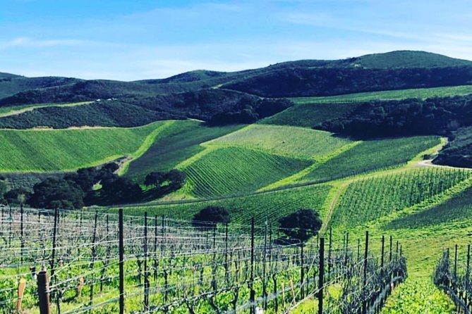 Santa Barbara Wine Country Tour - What the $200 price really covers