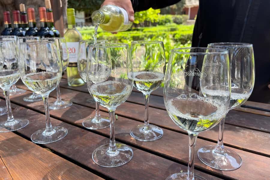 Santa Rita Vineyard Tour: History, Wine, and Outdoor Picnic - Should you book it?