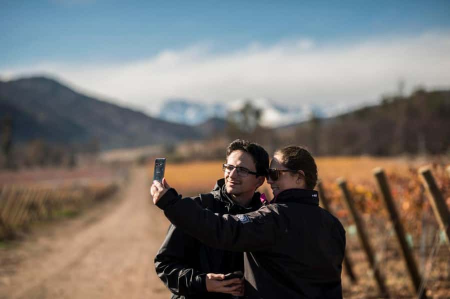 Santa Rita Vineyard Tour: History, Wine, and Outdoor Picnic - Walking through Santa Rita’s wine world