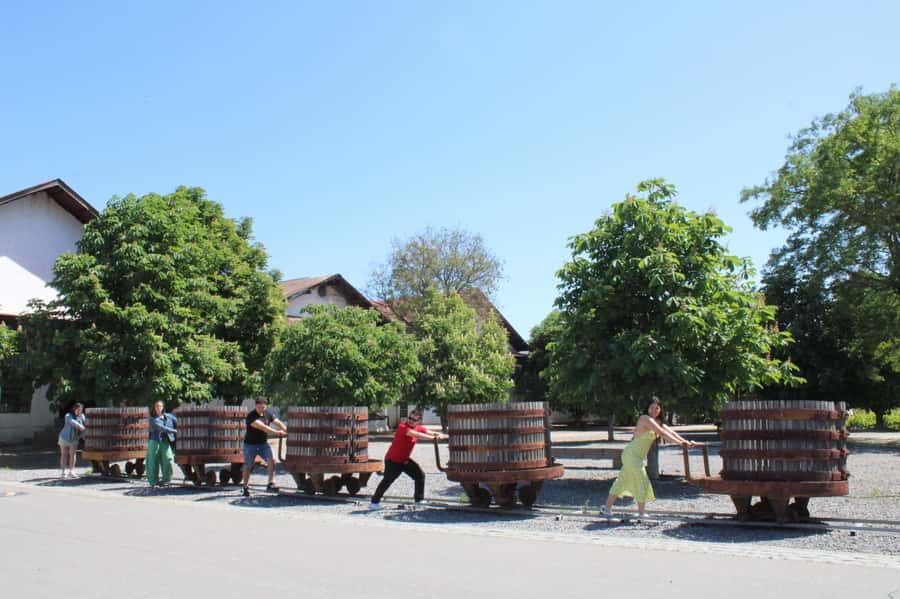 Santa Rita Vineyard Tour: History, Wine, and Outdoor Picnic - A two-hour picnic among the vines