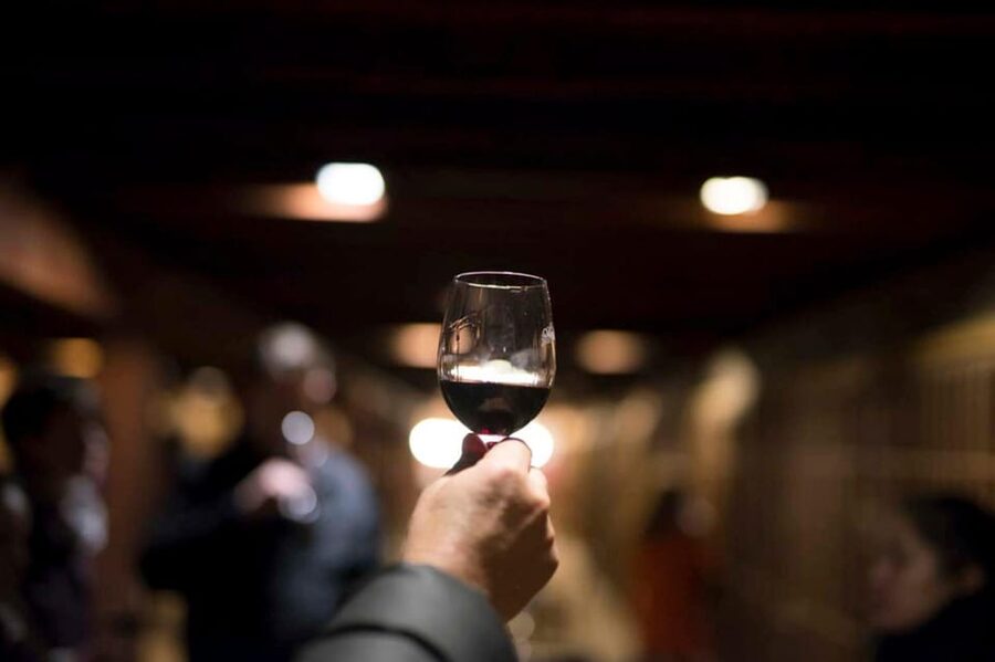 Santa Rita Vineyard Tour with Lunch, an Unforgettable Day! - Lunch at Doña Paula Restaurant