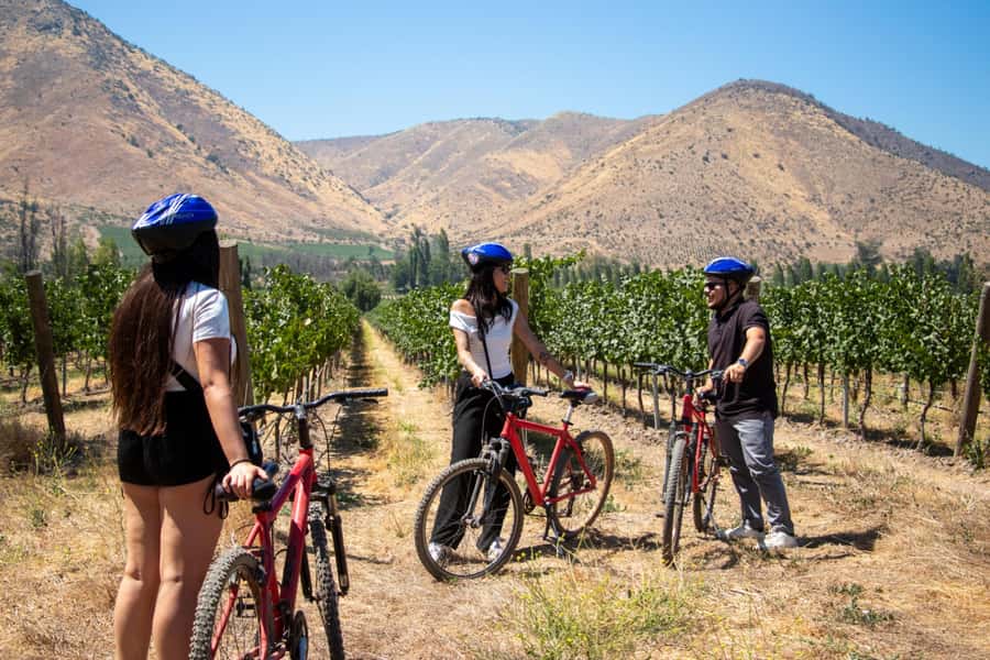 Santa Rita Vineyard Tour with Lunch, an Unforgettable Day! - Is $207 a fair price?
