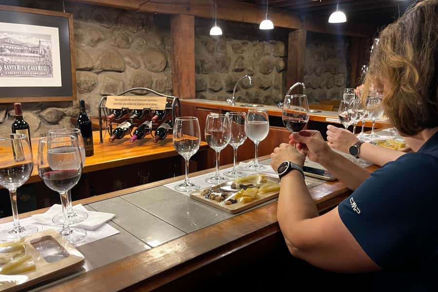 Santa Rita Vineyard Tour with Lunch, an Unforgettable Day! - Booking details that matter