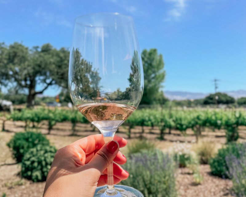 Santa Ynez: Wine Country Tour - Lunch, local ingredients, and the longest stop