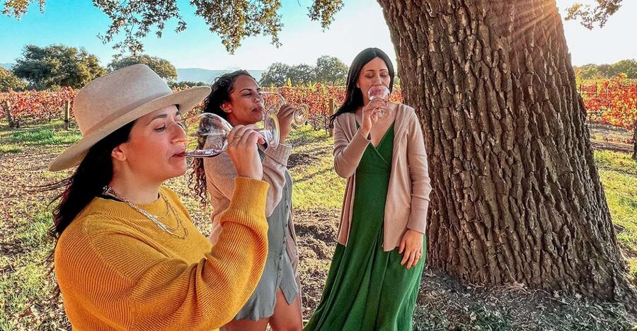 Santa Ynez: Wine Country Tour - Is $239 a fair price?