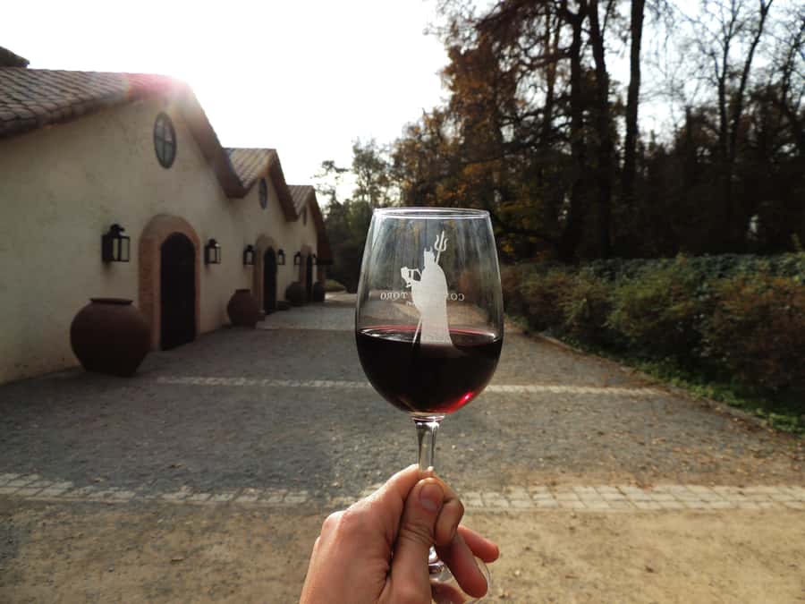 Santiago: Concha y Toro and Undurraga Vineyards Tour - Two wineries, two different views of Chilean wine