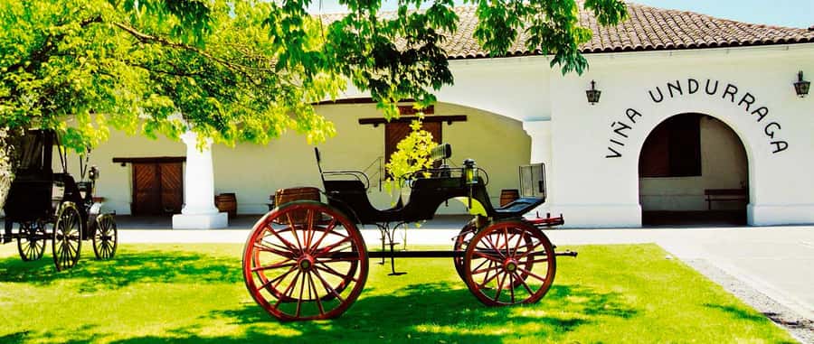 Santiago: Concha y Toro and Undurraga Vineyards Tour - Starting at Viña Undurraga around 8:00 AM
