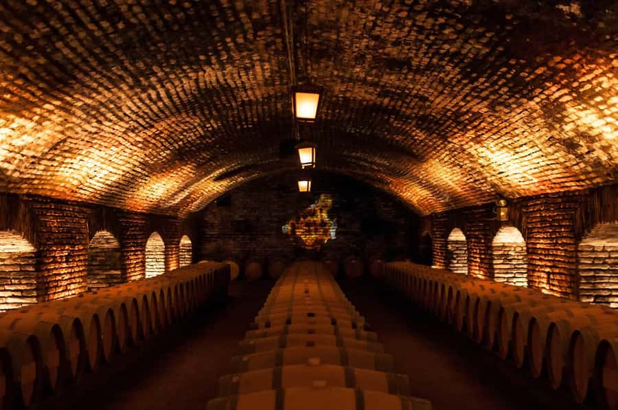 Santiago: Concha y Toro and Undurraga Vineyards Tour - Concha y Toro begins at Don Melchor Square