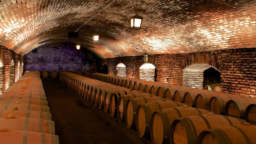 Santiago: Concha y Toro Vineyard Tour w/ Transfer & Tasting - Key points to know before booking