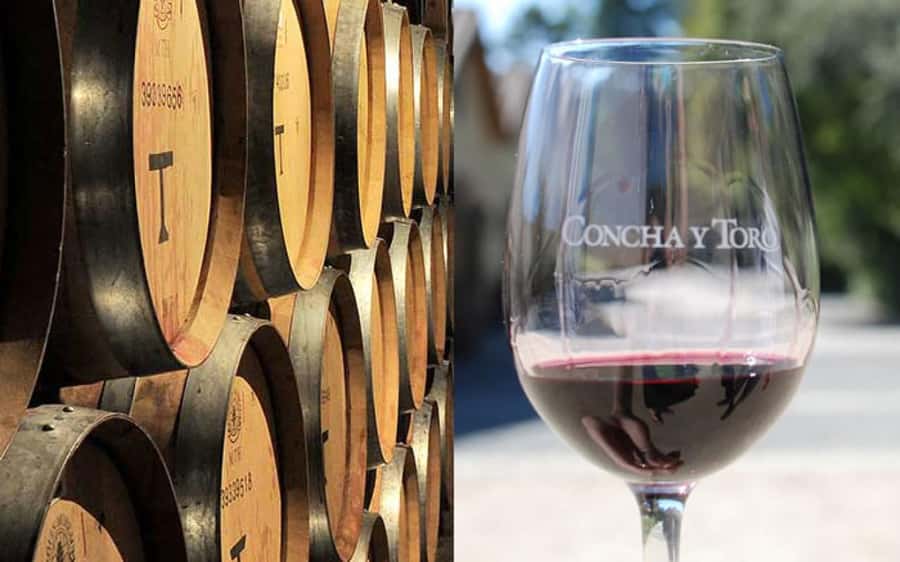 Santiago: Concha y Toro Vineyard Tour w/ Transfer & Tasting - What you taste during the standard visit