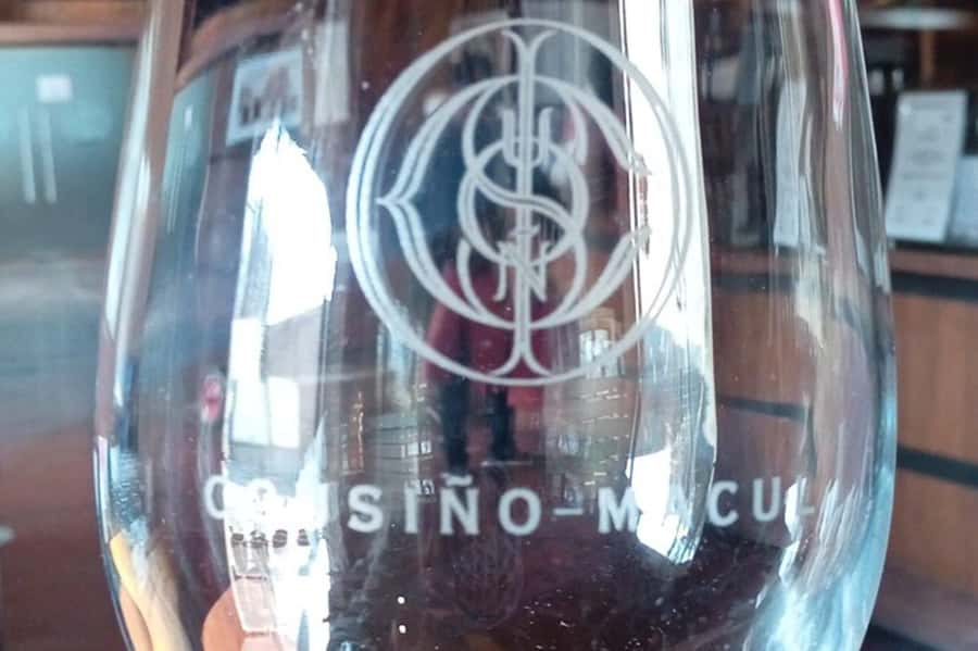 Santiago: Cousiño Macul Vineyard Premium Tasting Tour - Who should book this vineyard visit?