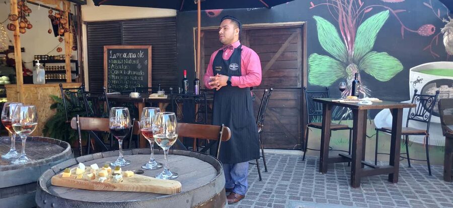 Santiago de Querétaro: Pueblos Mágicos Cheese and Wine Route - Language, comfort, and what to bring