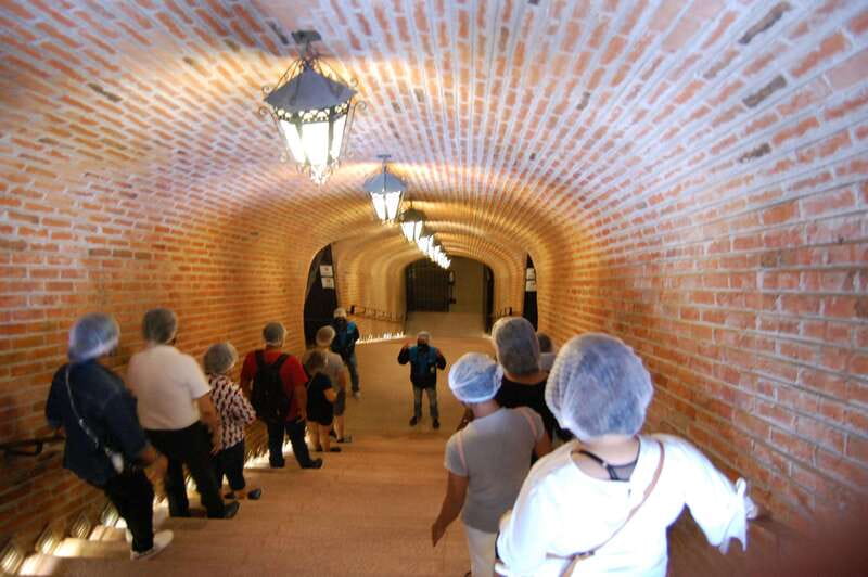 Santiago de Querétaro: Pueblos Mágicos Cheese and Wine Route - Starting with 14 cheeses and two wines