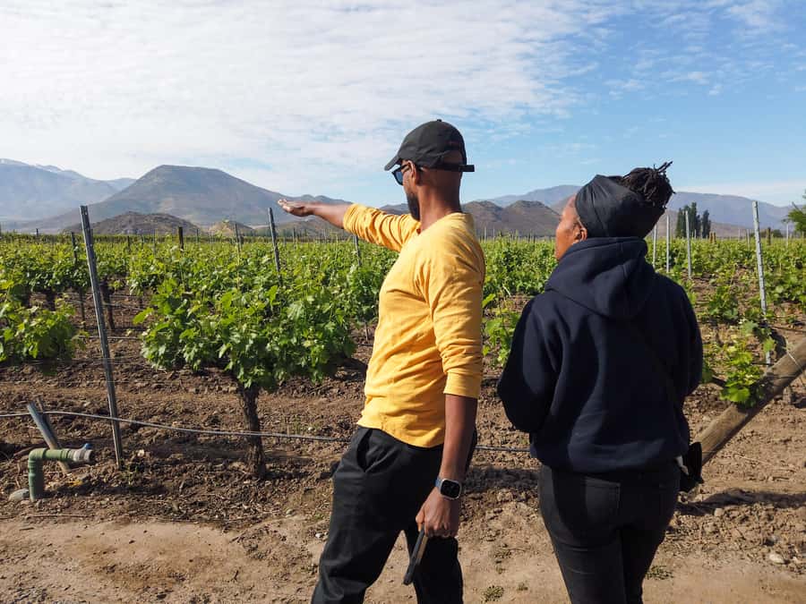 Santiago: Inca Lagoon Tour with Local Vineyard and Tasting - Llamas and the ride back to Santiago